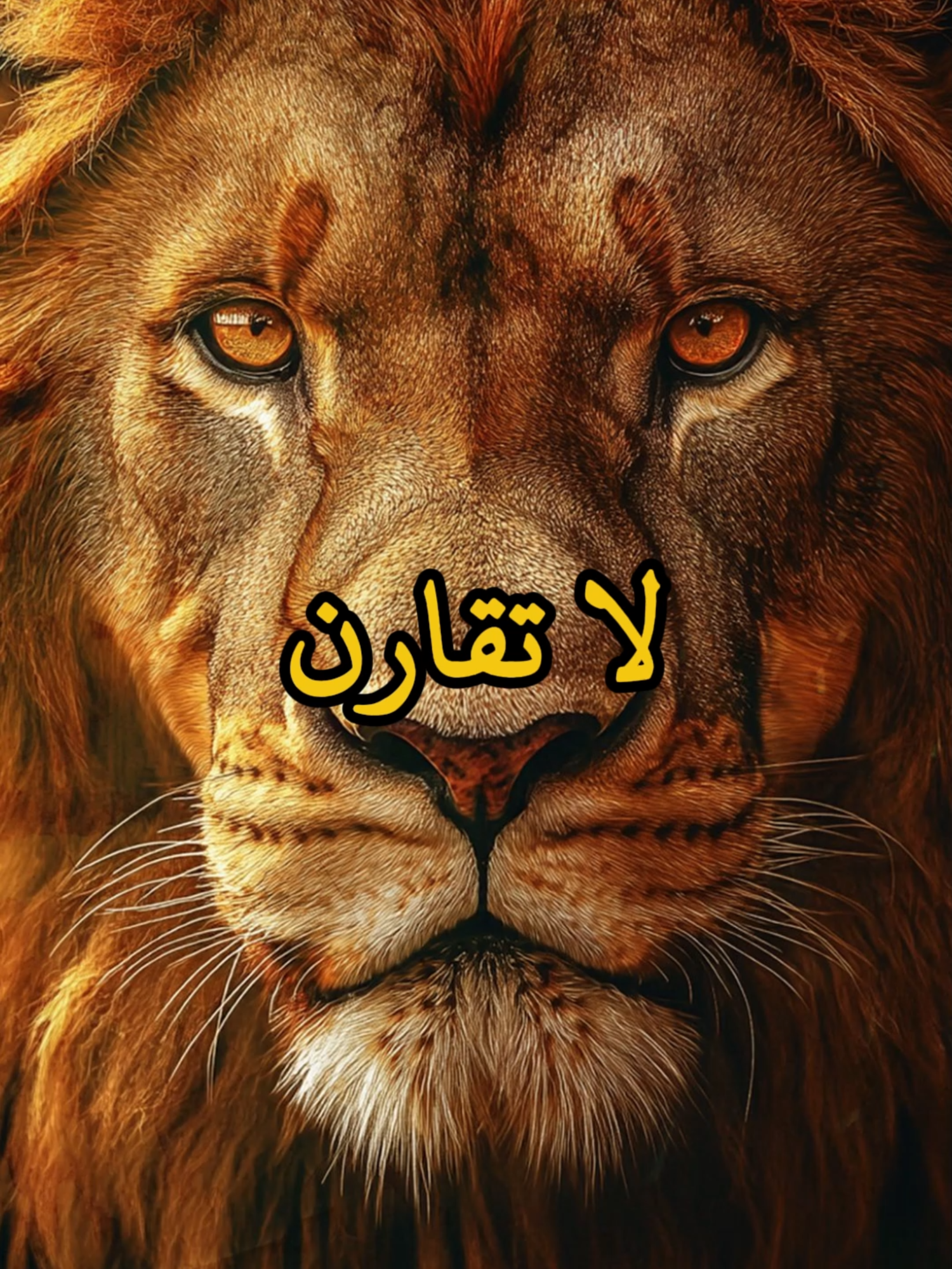 لا تقارن نفسك معي أبدا با بني #حكمة #خواطر #اكسبلور #اقتباسات #اطمئن #علم_النفس #نجاح #تحفيزات_إيجابية #تطوير_الذات_علم_النفس #كلام_من_ذهب #اقتباسات_عبارات_خواطر #explore #viral_video #psychology #fyp #motivation
