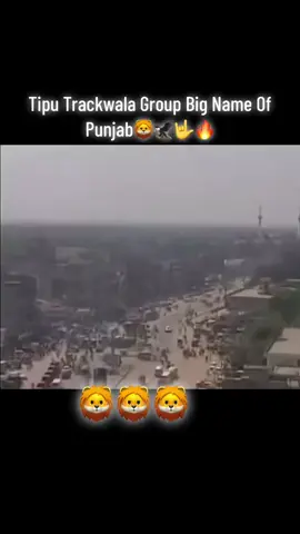 #Ameer Balaj King of Punjab🐯 