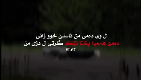#zaxo_duhok_hewler_slemani_hawler_karkuk #viral #fouryou #L67 