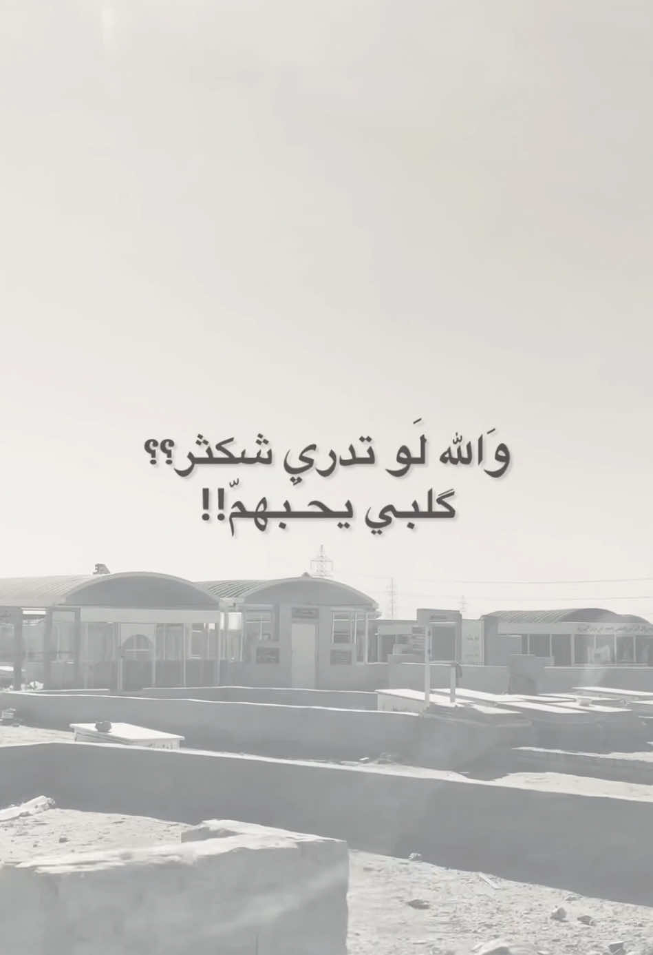 شكثر گلبي يحبهّم || #باسم_الكربلائي 