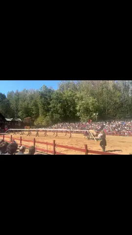 I was there for the plot… The plot…👀 #renaissancefaire #carolinarenaissancefestival #BookTok #fyp #viral 