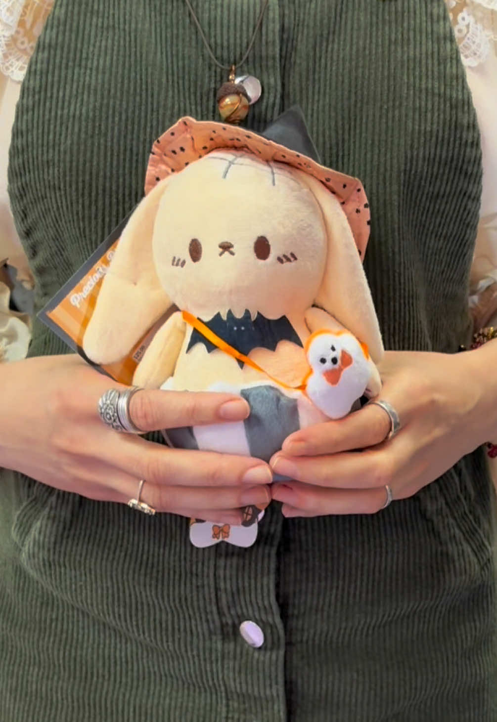 spooky plushies are HERE #frogs #halloween #autumn #fall 