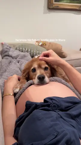Can’t wait to see them grow older together 🥹 #dogsoftiktok #dogandbaby #firsttimemom 