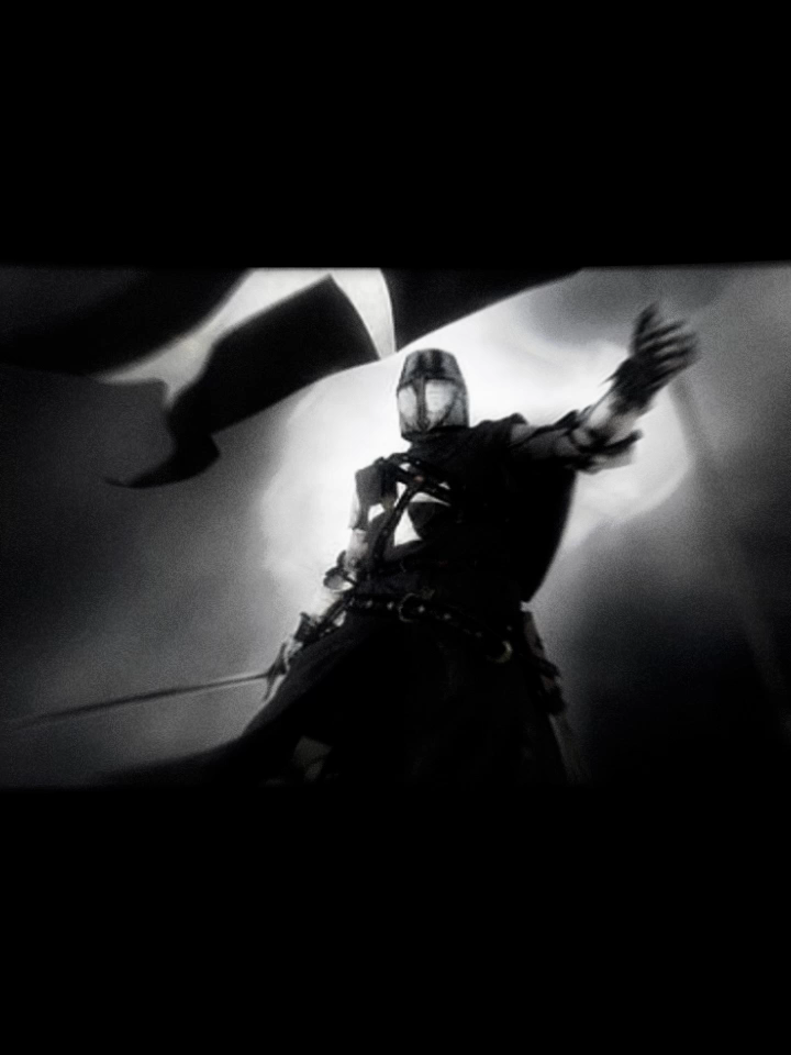 𝔗𝔥𝔢 𝔎𝔫𝔦𝔤𝔥𝔱𝔰 ℌ𝔬𝔰𝔭𝔦𝔱𝔞𝔩𝔩𝔢𝔯. #hospitallerknight #crusader #History #fyp #knight