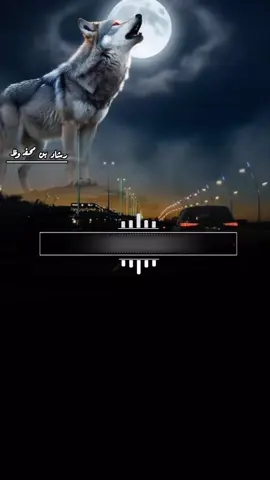 #شيلات_يمينه #تصميم_فيديوهات🎶🎤 #اكسبلورexplore❥🕊 