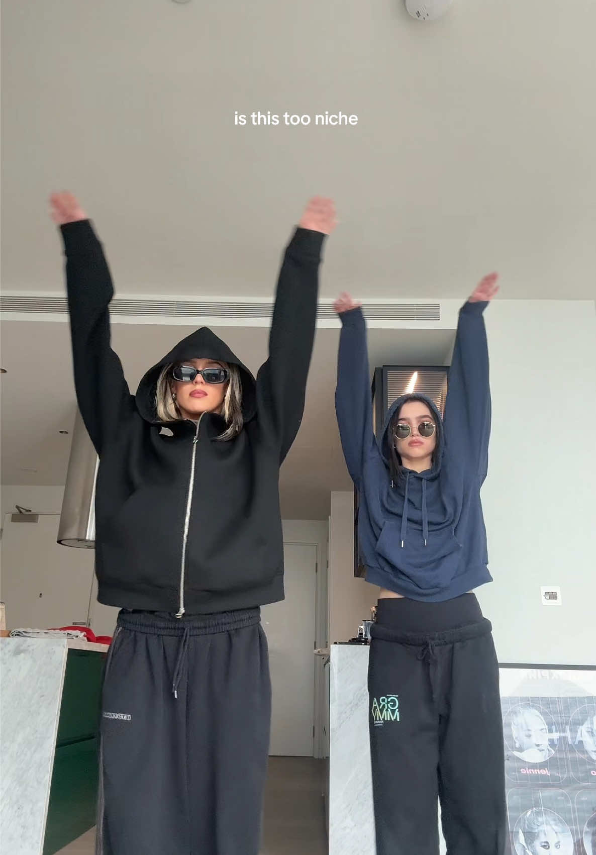 our entire fyp is this 