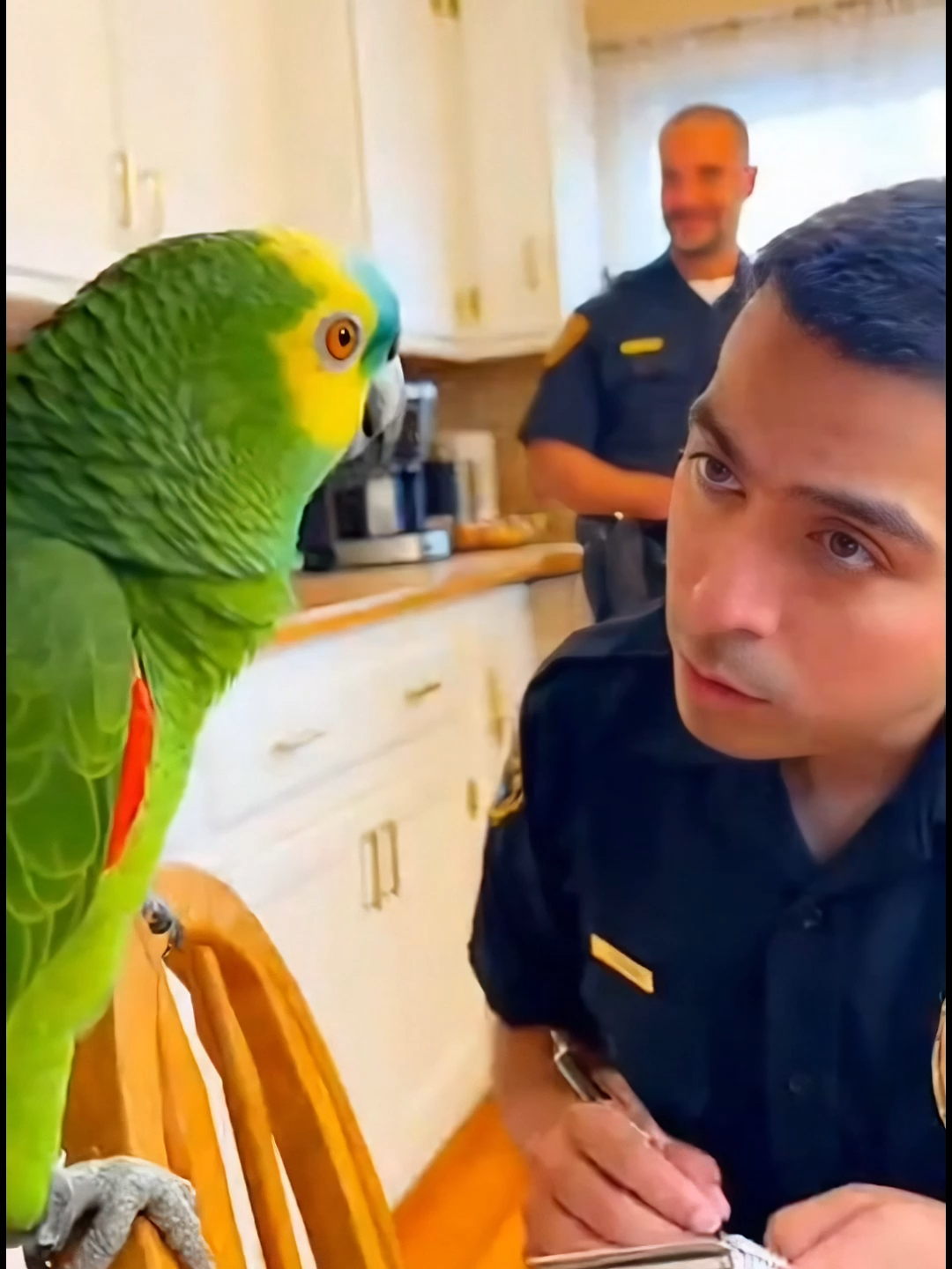 Parrot Saw Too Much on the Balcony #viral #ai #foryoupage #trending #police #parrot #funnyparrot #viralvideo #fyp #comedy #funnytiktok #viralshorts#tiktokviral #voiceover #sora2 #laugh #talkingparrot #cop