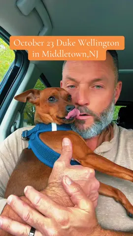 #fyp #irishitailanstallion #🤌🤌❤️❤️❤️❤️😁😁😁 