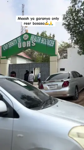 Follow me🙏#bosaso #qeysarvloger #somalitiktok #bosaso__weye🇸🇱🇺🇿🥰 #puntlander🇸🇱 