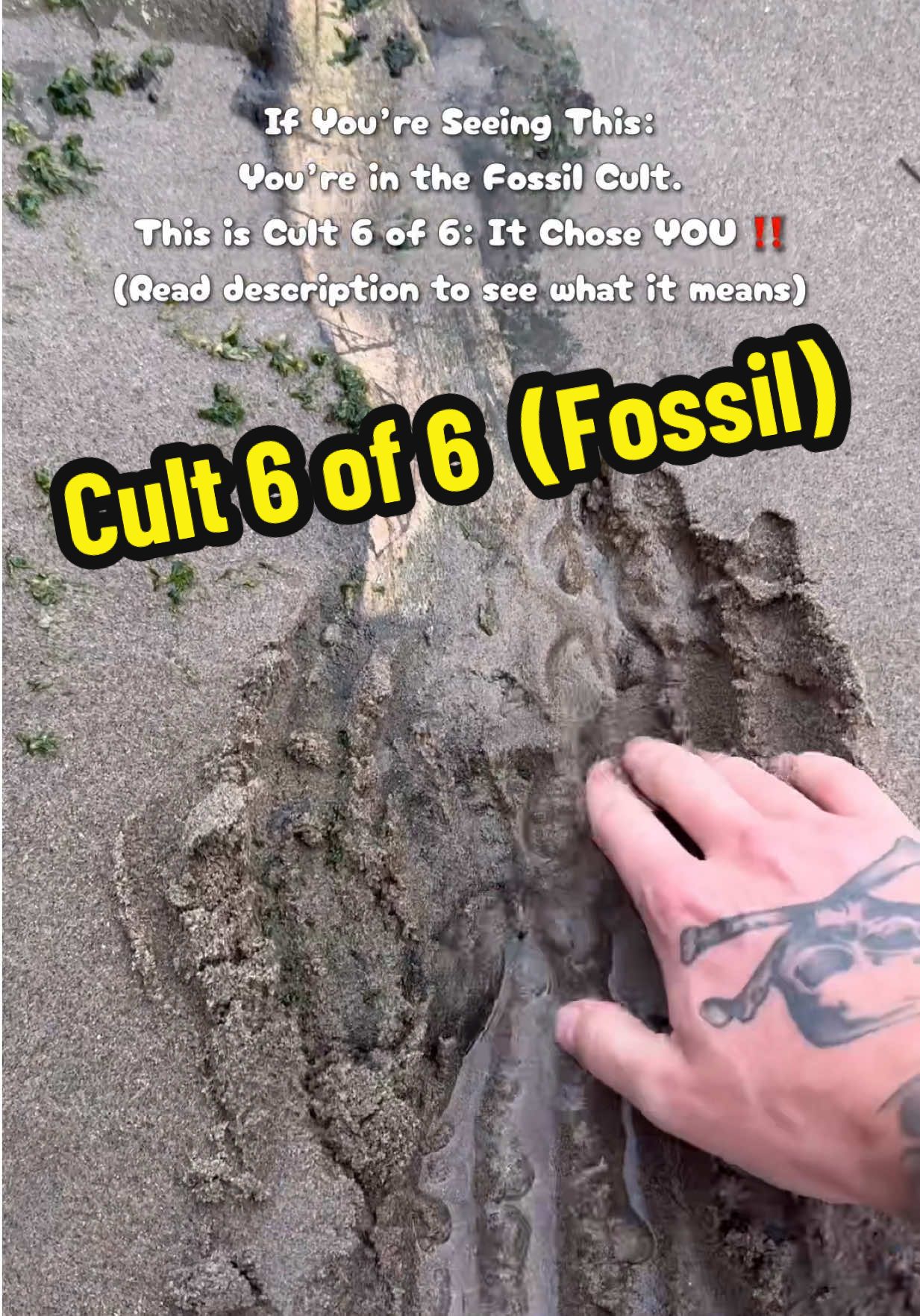 Your cult is decided by fate. The first Cult video that you see is the cult that you are in for life. This is Cult 6 of 6: The “Fossil” Cult. If you’re in the Fossil Cult, you’re timeless. You’ve weathered storms, pressure, and change, yet you’ve come out stronger each time. You carry wisdom that others might not see right away, but when they do, they listen. You’re grounded, patient, and built to last. Even when the world moves fast, you remind everyone that real strength is carved slowly over time. People in this cult also have a higher probability of major success than people in any other cult. 💰 Leave a Like & Comment if you are in this cult. Congratulations if you made it into the fossil cult! Use the 🦖 emoji anytime you comment on my videos to let everyone know what cult you are in! The only way to get in this cult is if the video lands in front of you organically or if someone who is already in the cult, shares it with you based on your personality. #Fossil #FossilCult #wisdom #success #nature  