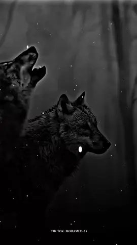 متقدرليش ✅😎🔥 #شاشة_سوداء_لتصميم🖤🔥🍂 #اتهلاو_يجي_جديد_ليزوم😘💪 #مليون_مشاهدة❤ #foryoupage #إكسبلورر 