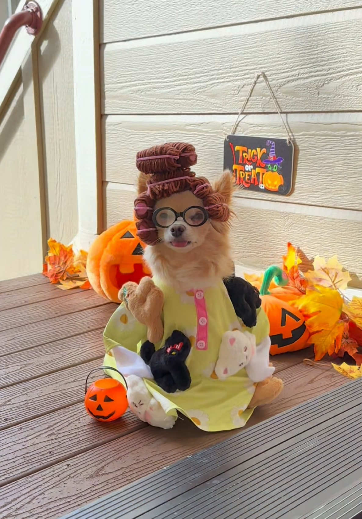 Halloween trick or treat! 🎃🍭 #halloween #halloween2025 #halloweencostume #halloweentiktoks #halloweenlook 