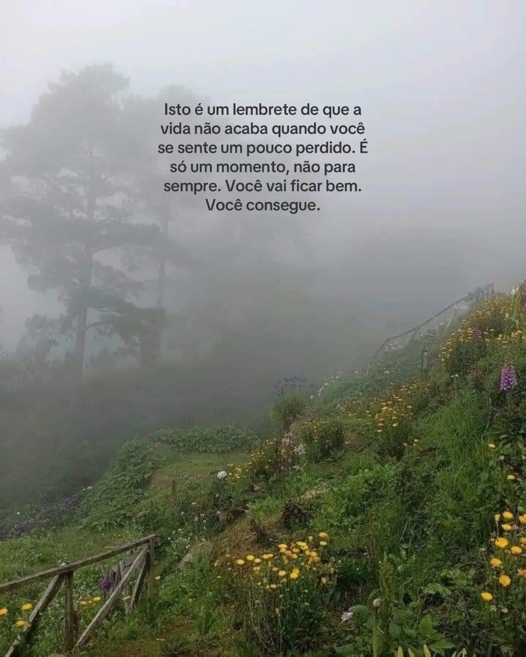 #fyp #foryou #vaiprofy #xybca #explore 