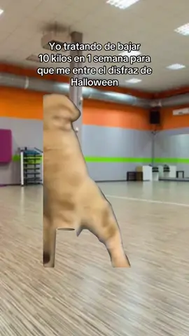 #paratiiiiiiiiiiiiiiiiiiiiiiiiiiiiiii #fyp #Meme #humor #halloweenlook 