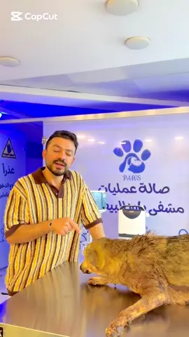 #لاتأذو_ارواحآ_لايسمع_انينها_الى_الله 