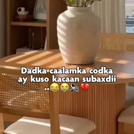 Dhiba naheysto😂😭 .... #somalitiktok #fouryou #MOHAN😍 #somalitiktok 