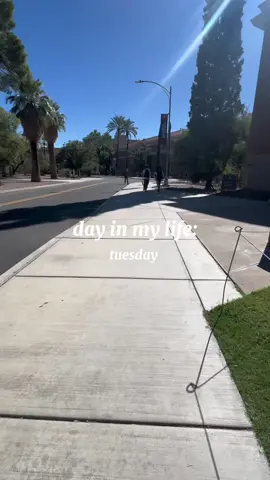 tuesday vlog! #fyp #uofa #az #ditl 