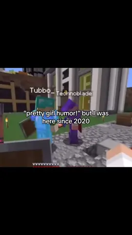 Ohh the stuff I would do to go back.. how i miss you dsmp… #dsmp #dreamsmp #mcyt #tommyinnit #tubbo 