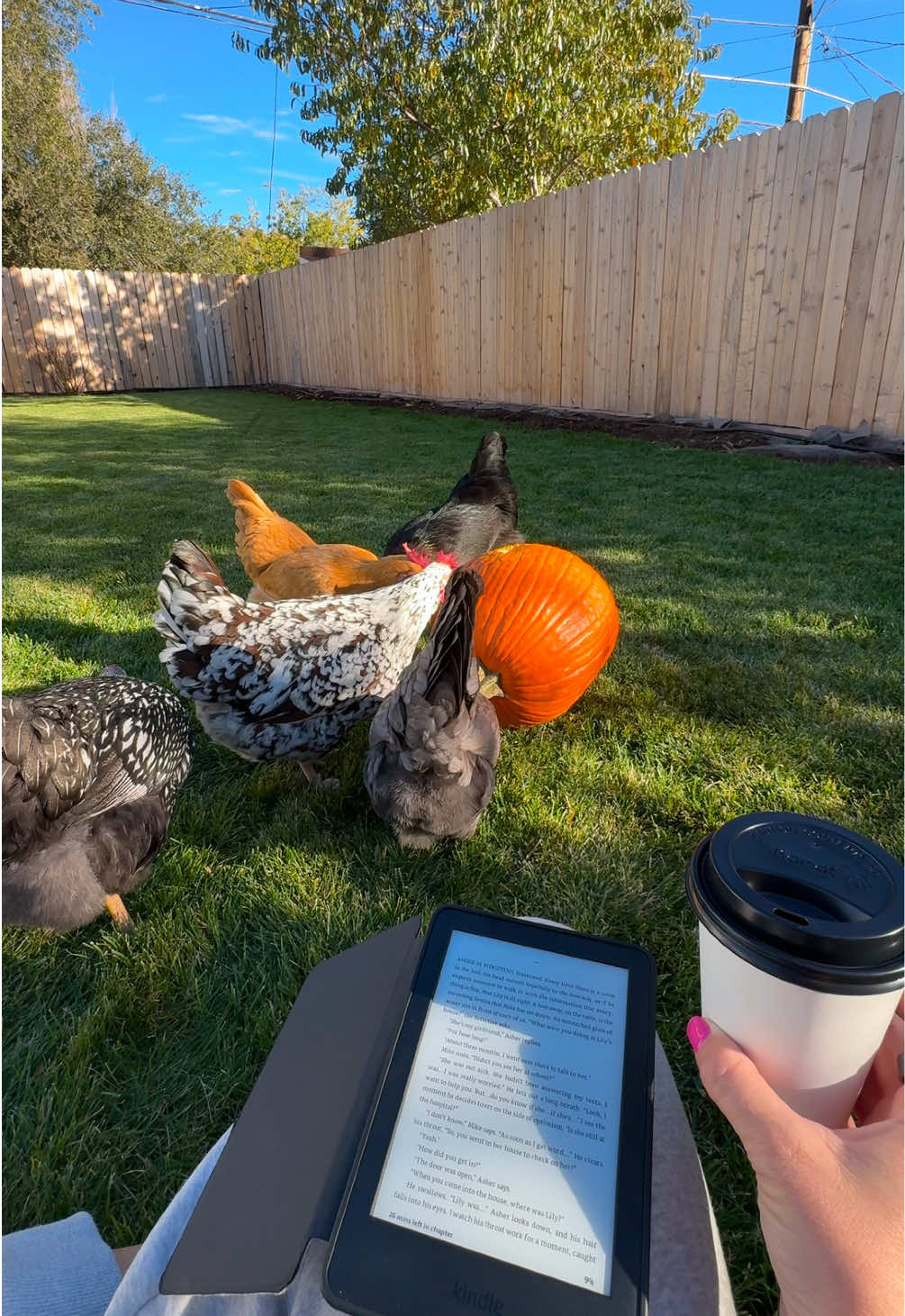 My favorite fall activity to date  … #pumpkincarving #chickenpumpkincarving #chickentok #fallvibes #jackolantern 