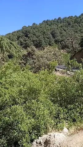 #tiziouzouⵣimazighen💛💚 #tigzirt_tizi_ouzou #boghni_tiziouzou_kabylie #matoub_lounes #jskabylie💛💚 