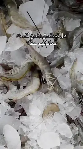 ليه بس💔🦐 . #fyp #shrimp #hollon #كيلو_الجمبري_ب580_جنيه #explore 