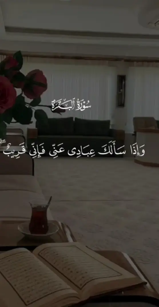 #بسم_الله_الرحمن_الرحيم #سبحان_الله_وبحمده_سبحان_الله_العظيم #القران_الكريم 