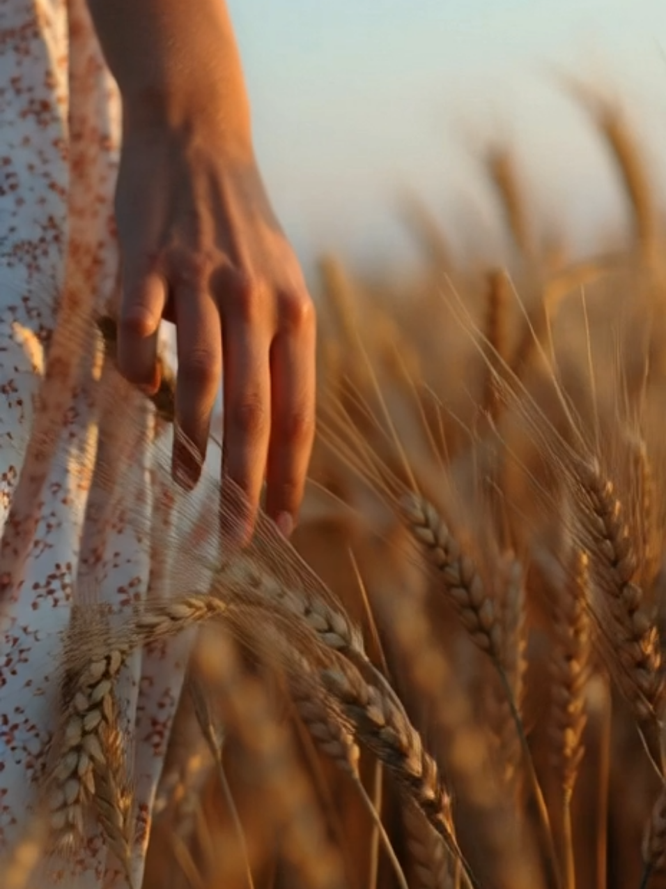 Conexão entre todos os seres, sencientes ou não. Filhos da mesma mãe, carinhosamente chamada de gaia. #vidanaroça #mulhereslindas #vidanocampo #namoro #fyp @Gatas da Roça 