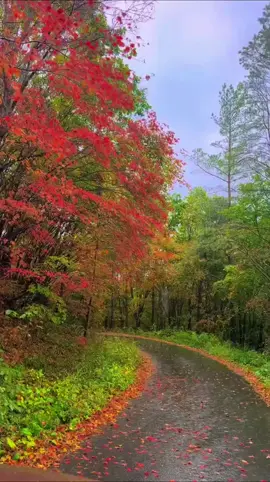 your the kindest thanks 🤗😘🤗