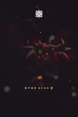 WATA SHIDA❤️‍🔥❤️‍🔥❤️‍🔥 #creatorsearchinsights #hausalyrics #Arewalyrics #king #🦋 