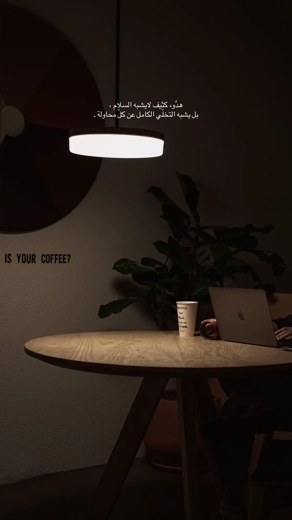 #creatorsearchinsights #مالي_خلق_احط_هاشتاقات #صوره_وقصيده #اكسبلورexplore #شتاء_السعودية 