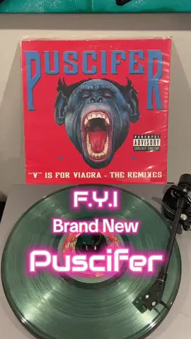 Puscifers new single Self Evident, dropped October 21. New album coming February 2026. It’s gonna be a good year. New Puscifer, rumors of Aenima and 10K Days being remastered for vinyl. #vinyltok #puscifer #tool #maynardjameskeenan #fyp