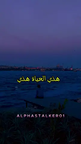 أحيانًا كتفيق وتسول راسك: علاش كل هاد الجري؟ واش فعلاً كاين معنى فهاد الدنيا؟ 🤔 الحقيقة يمكن ماشي فالمعنى، ولكن فطريقة كيفاش كنعيشو كل لحظة... حتى اللا معنى فيه جمال خفي 🌑✨ #الحياة #الفكر #تأمل #معنى_الحياة #تيك_توك_مغربي #كلام_من_القلب #المغرب #الواقع #فلسفة #تفكير_عميق #دراري_مغاربة #بنات_المغرب #كلام_يخليك_تفكر #حياة #وجع_صامت #افكار #كلام_حقيقي #تيك_توك_2025