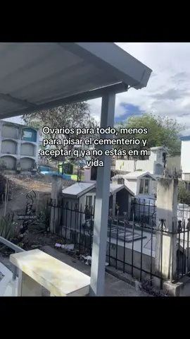 #fypp #paratii #todoelmundo 