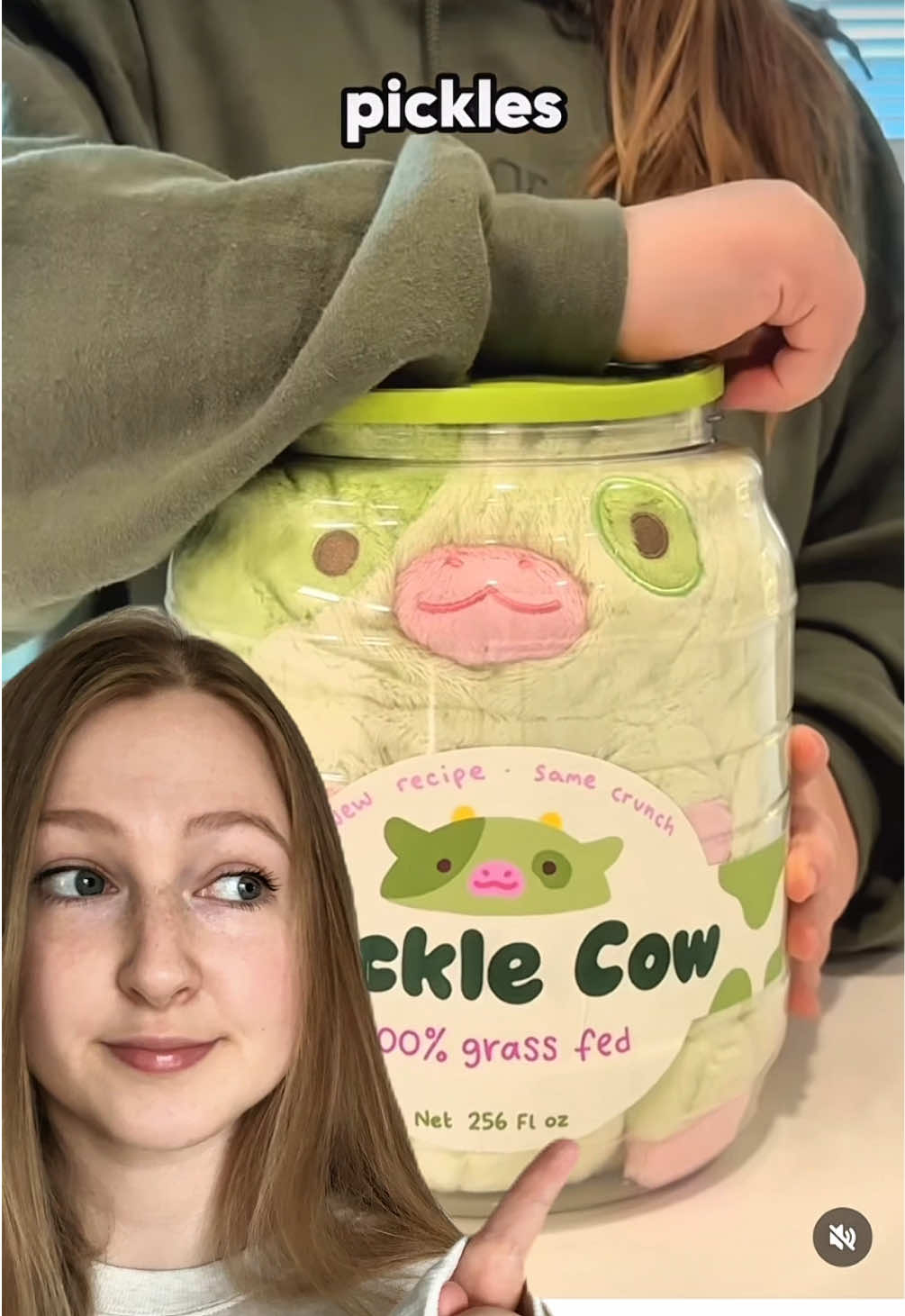 It started as a joke but now it’s real! 🥒 #plushies #pickles #plush #kawaii #SmallBusiness  