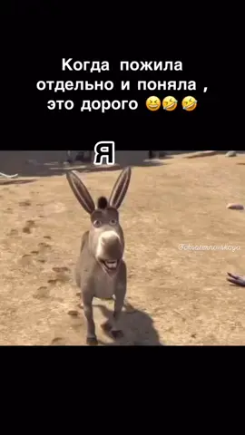 Отдельно жить и круто и тяжко даа🤣 #смешноевидео #юмор #угар #рекомендации 