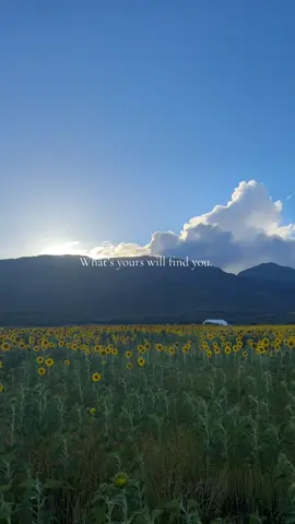 Everything happens for a reason :) #fyp #trend #maui #hawaii #views 
