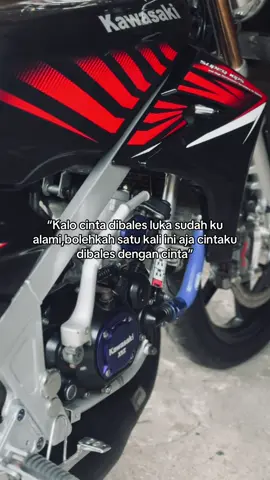 🥹#ninjass #twostroke #fyp 