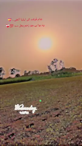 شام فُرقت کی لہلہا اُٹھی...💝 وہ ہوا ہے،جو زخم پھل دے 💯❤️‍🩹 John ایلیا 👀🎀village vibes  #fypシ゚viral🖤tiktok #challengefortiktokviralmyvideo #fypシ゚viral🖤tiktok☆♡🦋myvideo #villagevibes #viewsproblem💔😔 