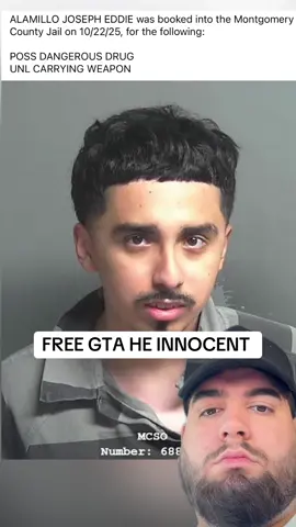 FREE GTA HE INNOCENT  #gta2reall#fyp#viral#explore#panchodoesitbetter 