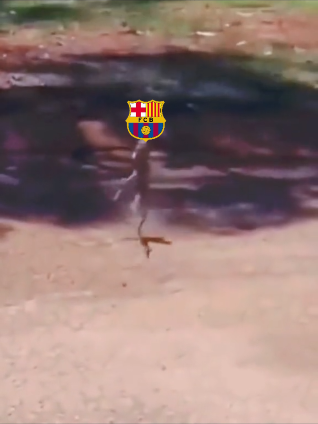 برشلونة 😂😂😂#realmadrid #barcelona #foryoupage #كلاسيكو #مباراة 