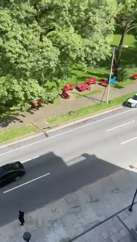 #trendingvideo #fypage 