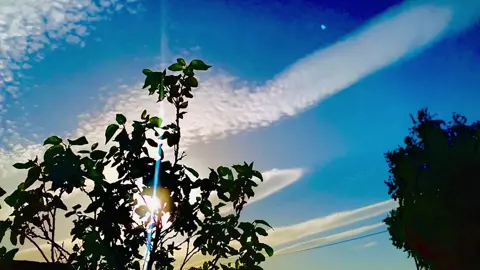 #شلي بل حياة مابيه انته #تصويري_احترافي_الاجواء👌🏻🕊😴 #تفاعلكم_حتى_أستمر #مقالاتكم_الفخمة🖤🥺💔 