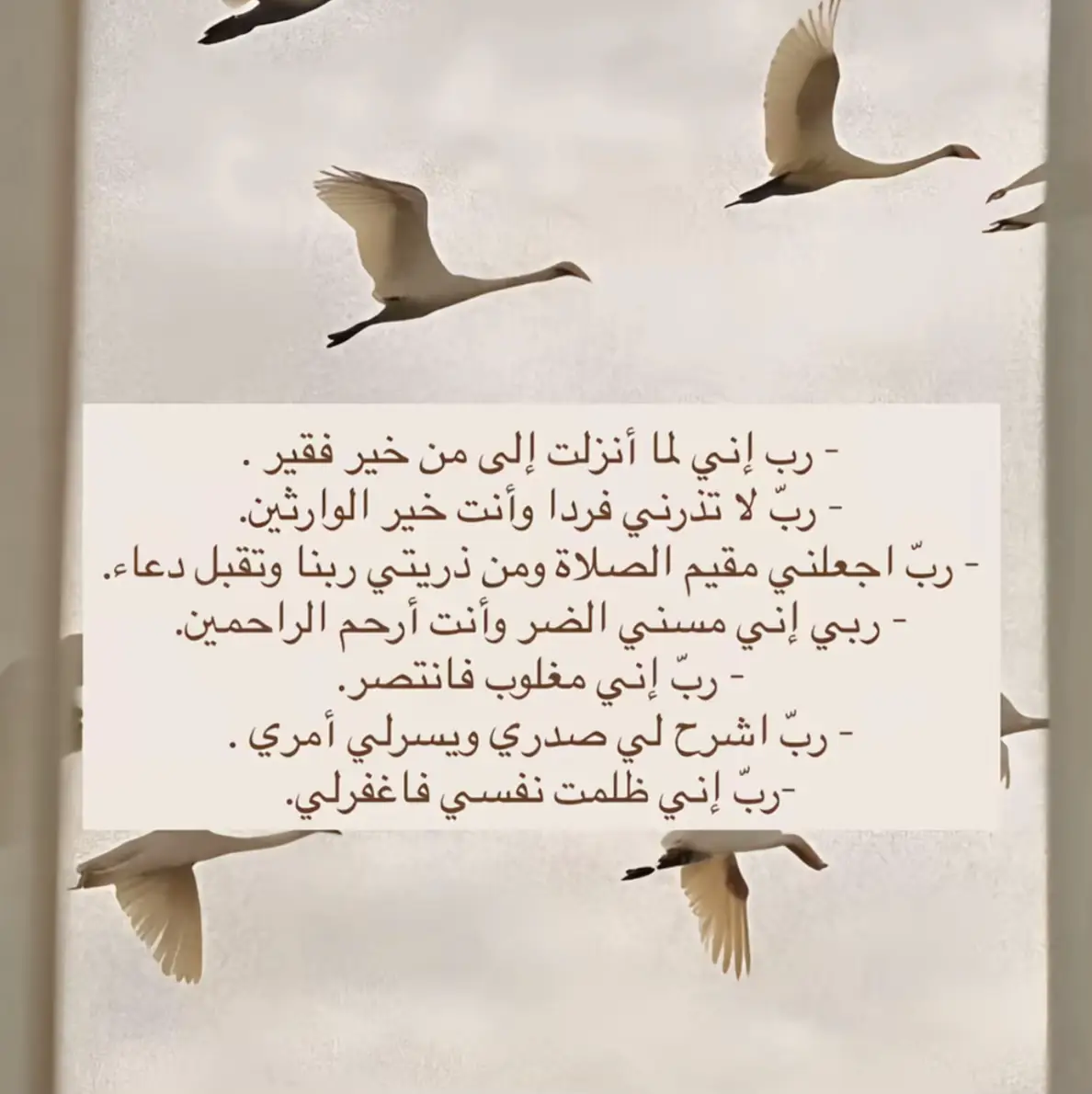 #يارب❤️ #رحمتك #اللهم_اكفنيهم_بما_شئت #يارب_فوضت_امري_اليك #يا_ملاذ_الهاربين_يا_امان_الخائفين❤️ 