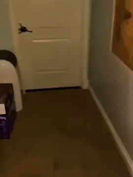 #creepy #horrortok #fyp 