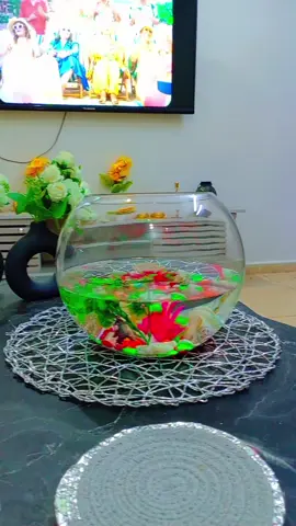 نسائم الشتاء وقهوتي معك ❤️ #your_coffee #dr_muram #الشعب_الصيني_ماله_حل😂😂 #مشاهير_تيك_توك 