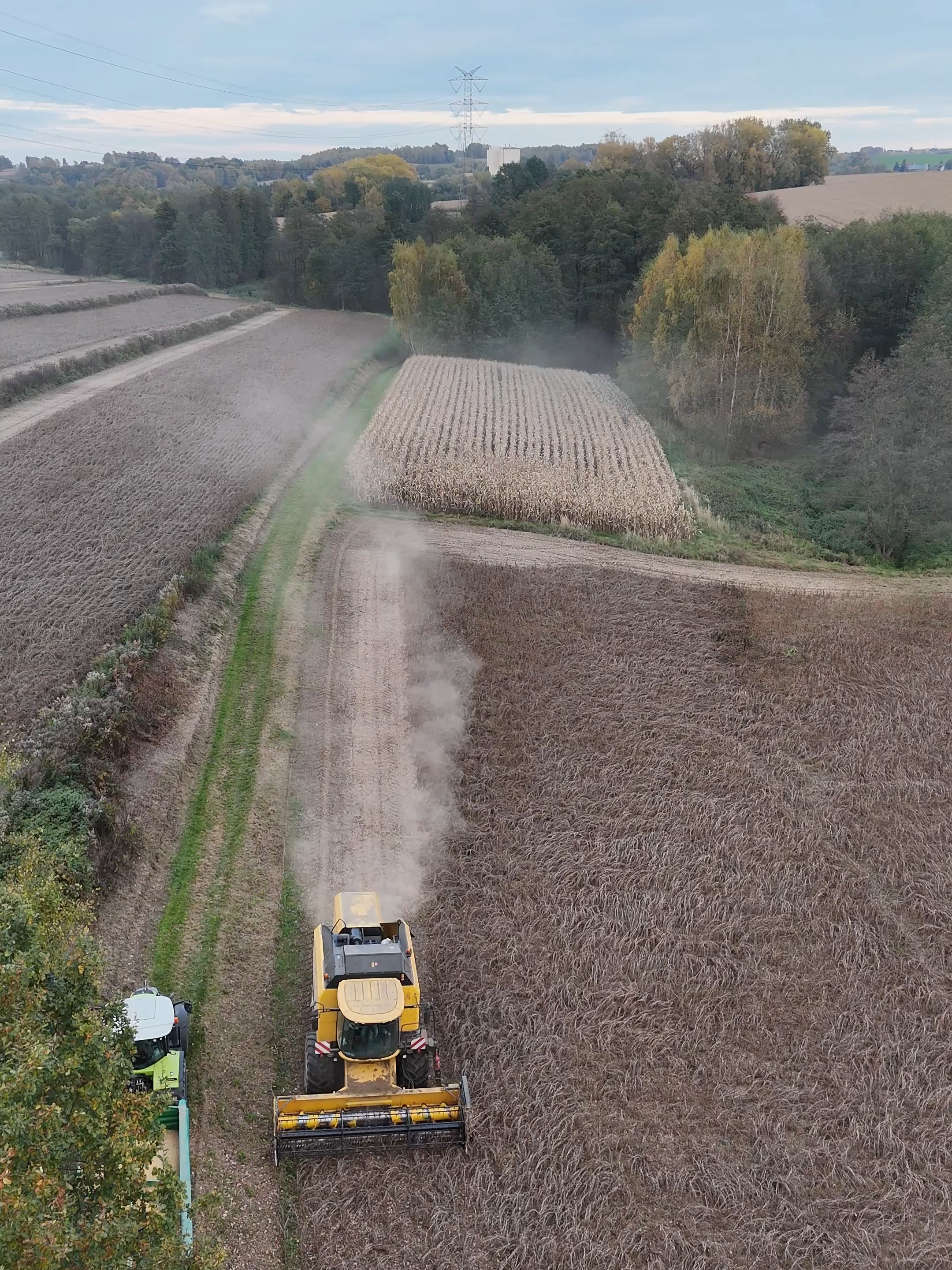Żniwa soi 2k25 rozpoczęte!!! #dc #dlaciebie #capcut #claas #metaltech #arion640cebis🤤 #axion @bartekfolga752 @ryba.szczupak4