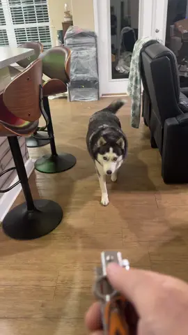 #ak47knives #knifes #tiktokshopfalldealsforyou #giftguide #christmasgiftideas 