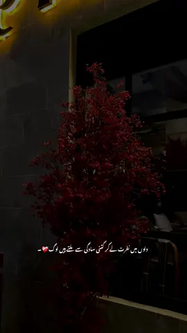 Ahm 💔 | #sheis_69 #fyp #fypシ゚ #viral #urdupoetry 