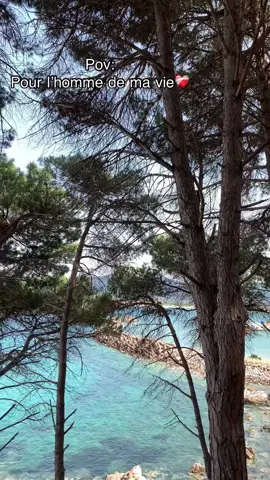 #tik_tok #treanding #طبيعة_جمال_راحة #tunisia #جندوبة 