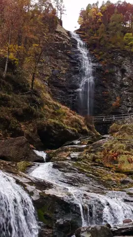 Un'esperienza suggestiva che combina il colore del foliage con lo scrosciare dell'acqua. . . . #foliage #autumn #autumnvibes🍂 #swiss #valverzasca 